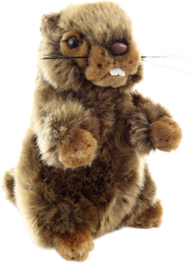 Újszülött kortól biztonságos