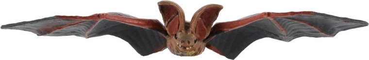 A Zooted kollekció része