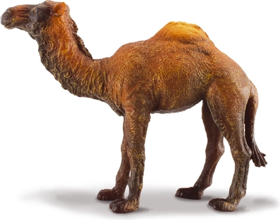 Dromedár figura Collecta
