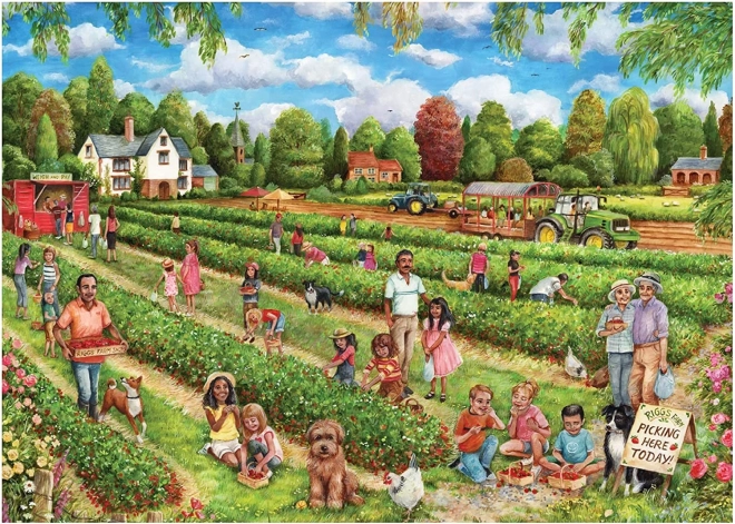 Falcon Puzzle Eper szüret 1000 darabos
