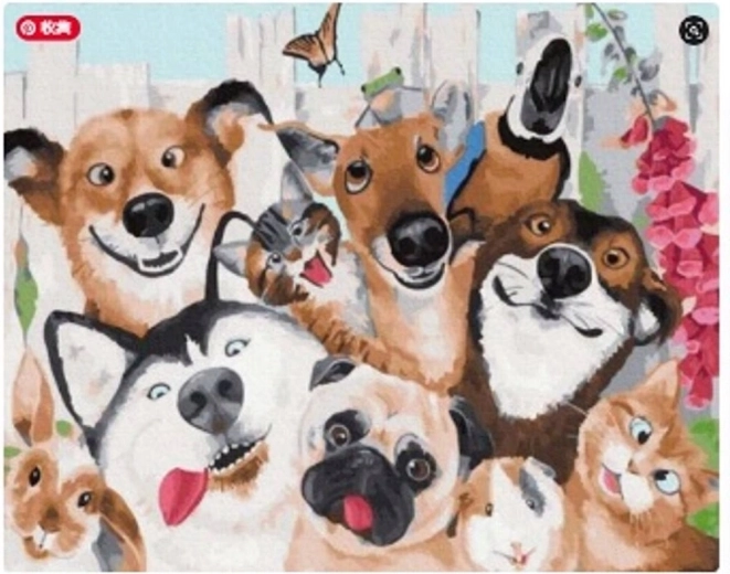 Norimpex számfestő készlet kutyák és macskák motívummal, 40 × 50 cm
