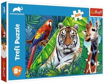 Puzzle Csodálatos állatok 300 darab 60 × 40 cm