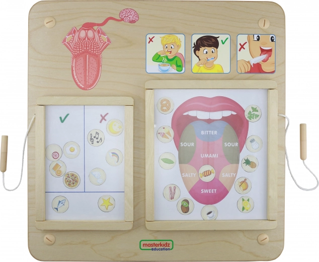 Masterkidz Oktatási Tábla Ízlelés Montessori