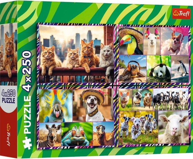 Puzzle 4×250 darab Vidám állatkák