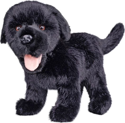 Plüss labrador fekete 23 cm - 1 db