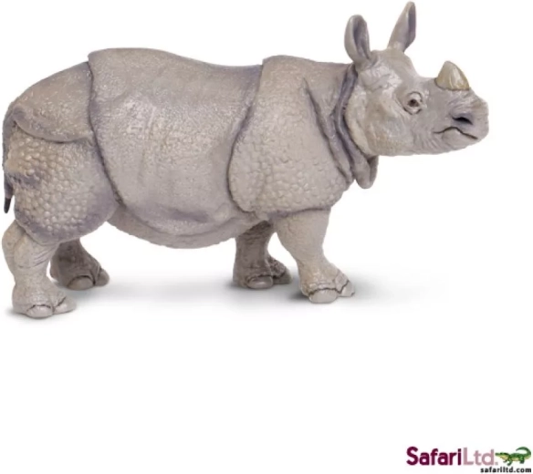 Indiai orrszarvú