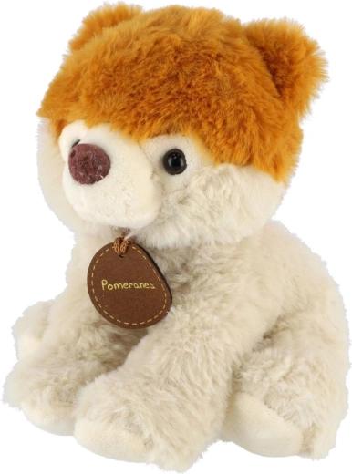 Változatos mix 10 darabos csomagban