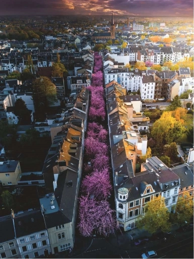 Ravensburger puzzle 1500 darab Bonn, Németország