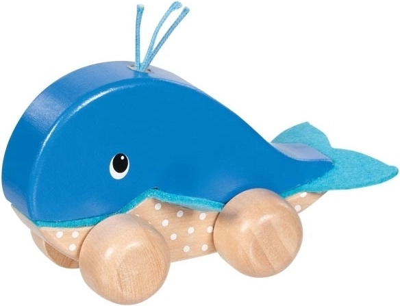 Goki Finnie bálna kerekeken