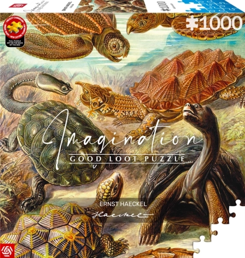 GOOD LOOT Puzzle Imagination: Ernst Haeckel – tengeri teknősök, 1000 darab