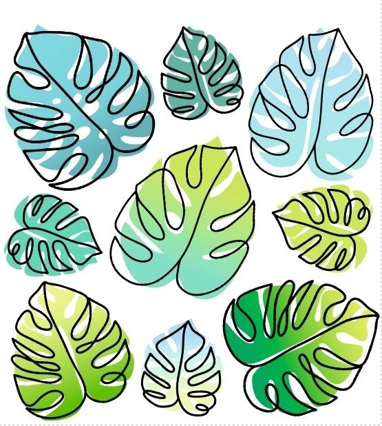 Vasalható képek monstera levelekkel 15 × 21 cm