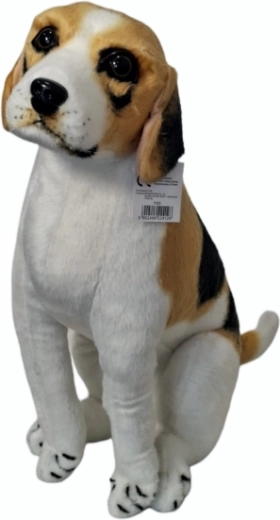 Plüss beagle kutya – 1 db