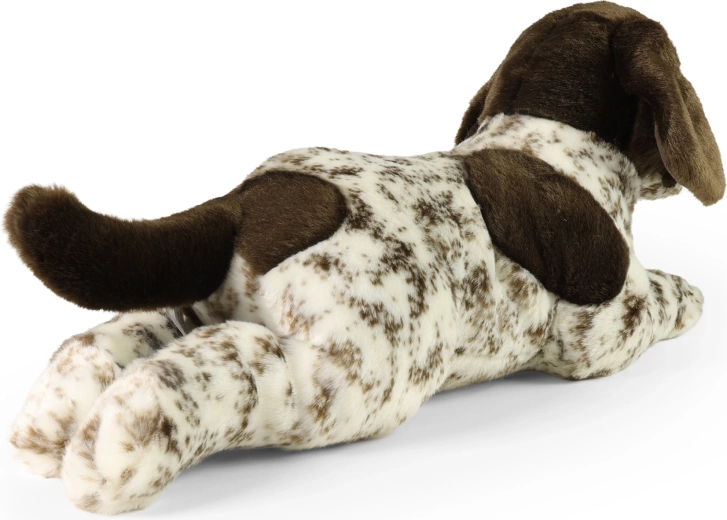 Születéstől biztonságos