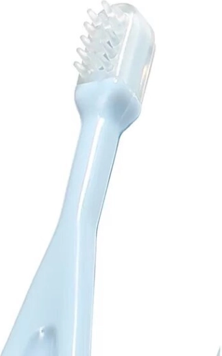 Biztonságban az első fogacskák