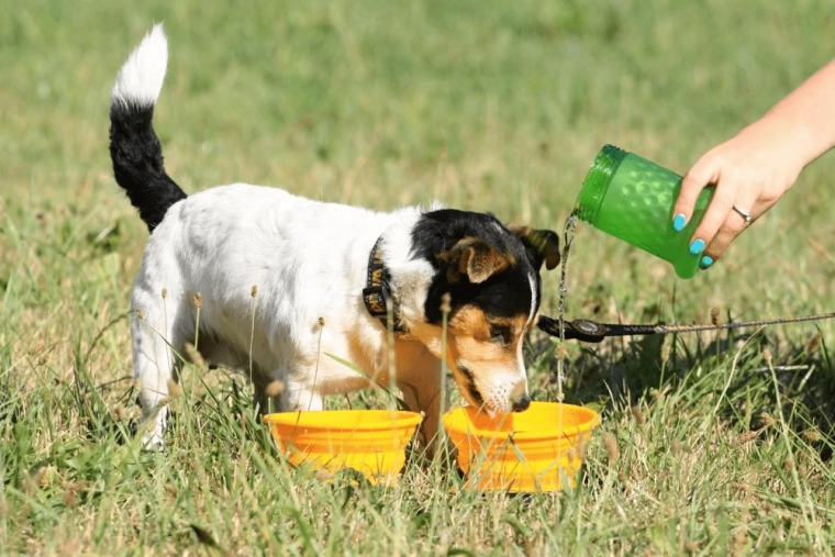 Hidratálás és etetés bárhol a 2 az 1-ben megoldással