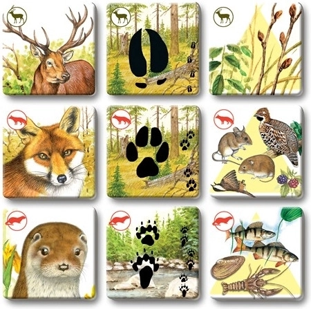 Tartós kártyák a gyakori játékhoz