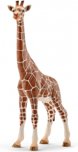 Schleich zsiráf nőstény
