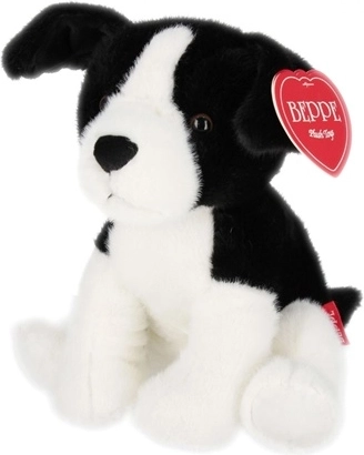 Border collie kutya, 25 cm