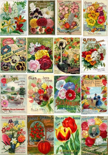 Enjoy puzzle vintage virágmagcsomagokkal, 1000 darabos