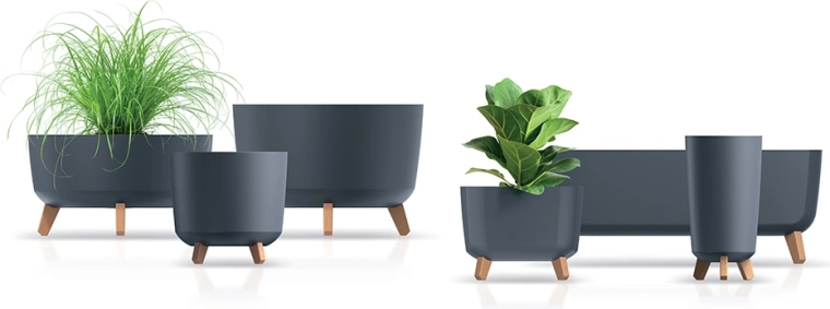 Jobb feltételek a gyökereknek