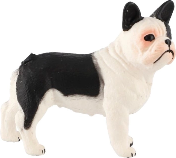 A francia bulldog részletes miniatűrje