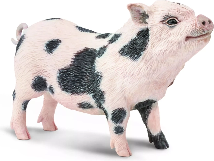 Biztonságos, nem mérgező és környezetbarát szemléletű termék