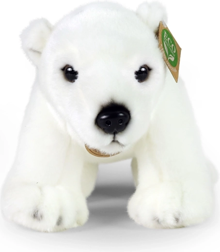 Selymesség, amelybe beleszeretsz