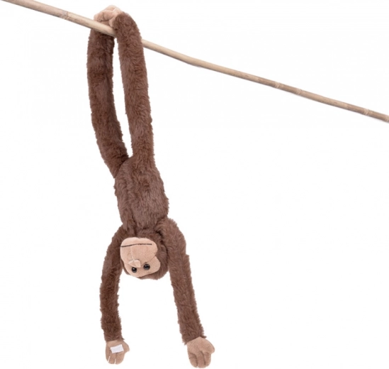 Valósághű kidolgozás a ZOO Collection sorozatból