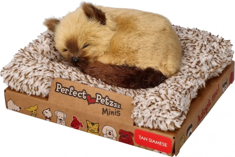 Perfect Petzzz kicsi sziámi kiscica