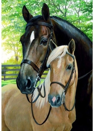 Számozott kifestő kép feszített vásznon, 40 × 50 cm – lovak