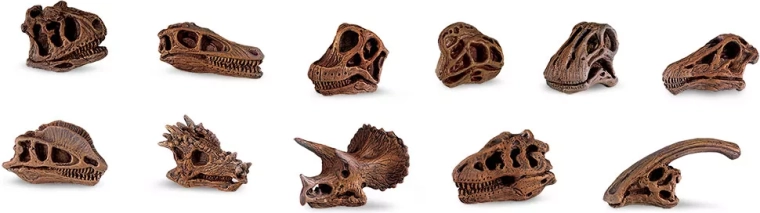 Safari Ltd. dinoszauruszkoponyák – mini replika szett