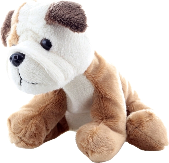 Biztonságos a legkisebbeknek (0+)