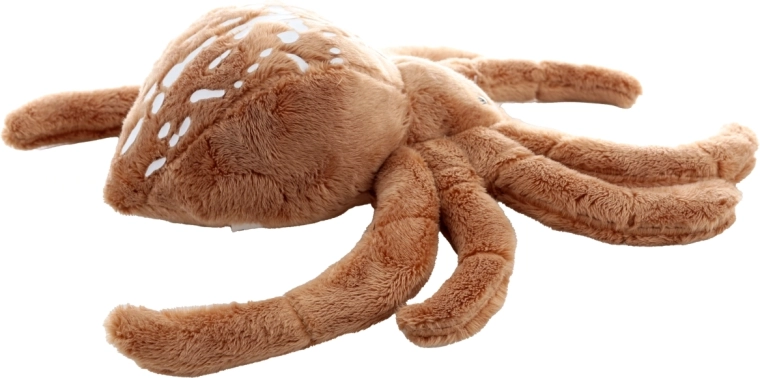 Aranyos részletek és élethű megjelenés