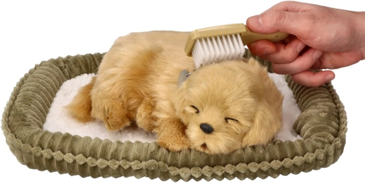 Fogadj örökbe egy lélegző golden retriever kiskutyát
