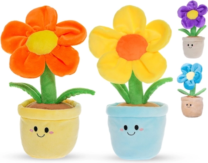 Biztonságos születéstől (0+)