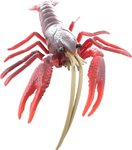 Ideális méret a gyerek kézbe