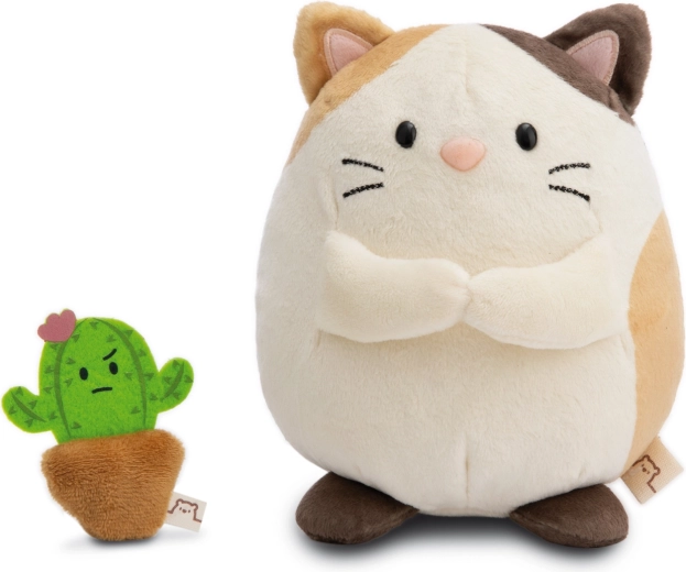 Moodi kaktusz mint aranyos társ