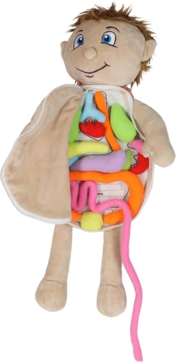 Kivehető puha szervek tépőzárral