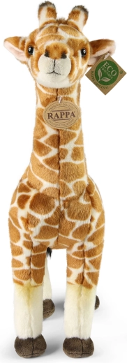 Realista részletek és kézi kidolgozás