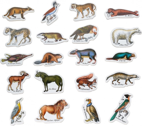 Zoologiai Mágnesek