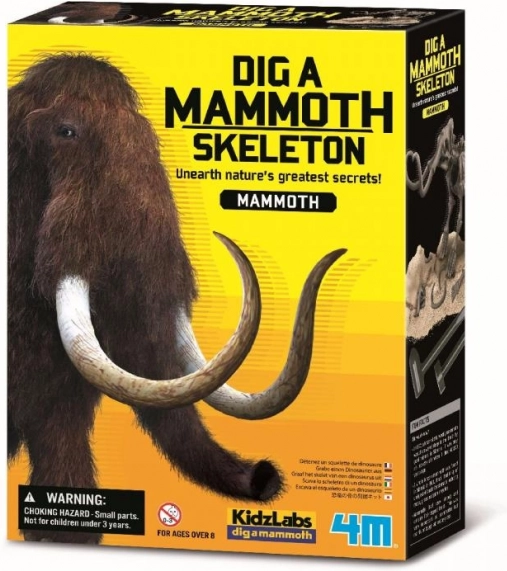 4M mamutcsontváz ásatási készlet