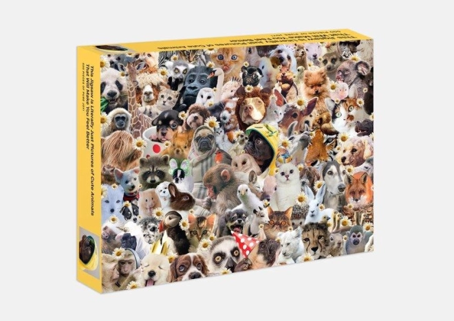 Veselállatok Galison Puzzle 500 darab