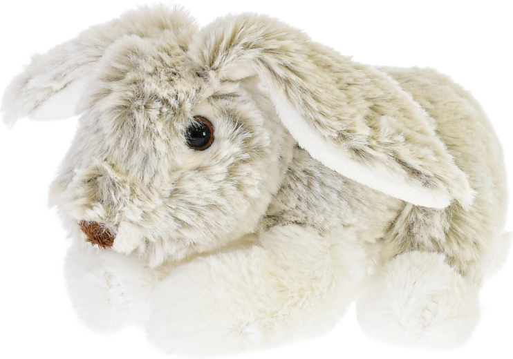 Cuki részletek és hosszú fülek