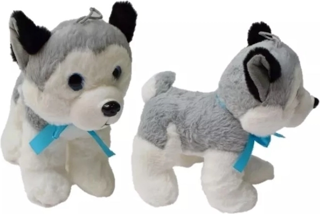 Plüss husky (közepes) 20 cm