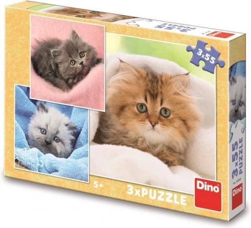 Gyerek puzzle – aranyos kiscicák, 3×55 darabos