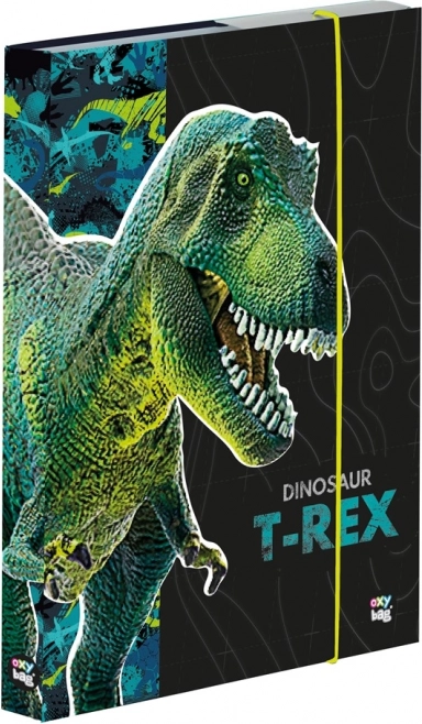 Dinoszaurusz Premium A5 füzet doboz