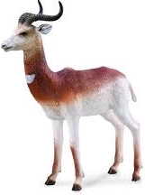 Collecta vándoralbatrosz – élethű figura