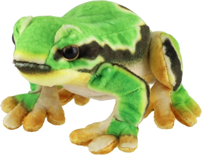 Aranyos, élethű megjelenés