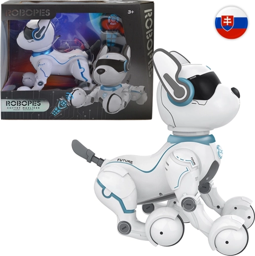 IR robotkutya hangutasításokkal