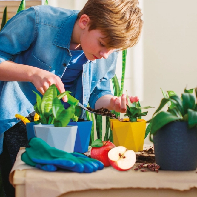 Szórakoztató kertészkedés otthon